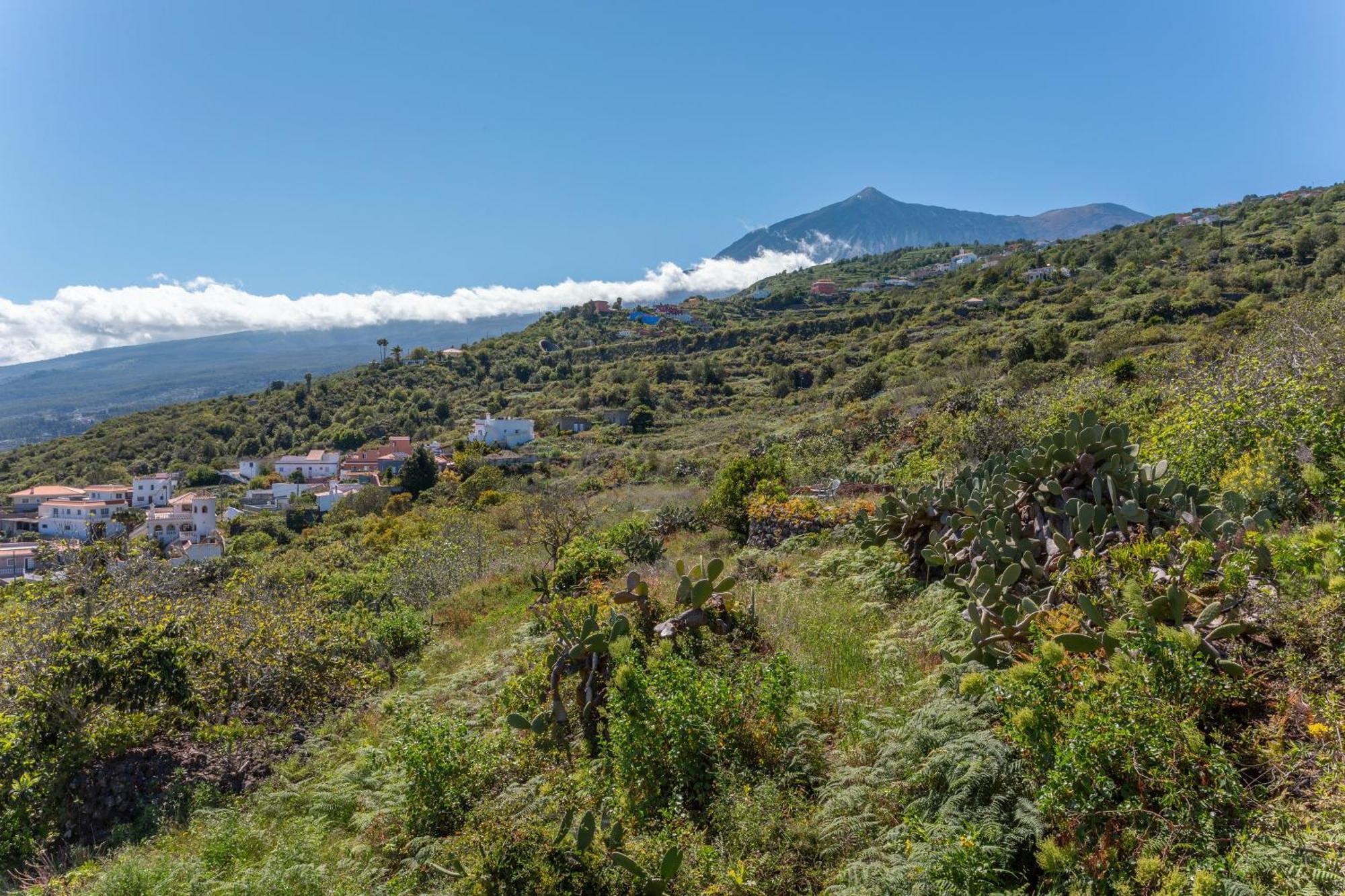 Las Casas Del Bisa การาชิโก ภายนอก รูปภาพ